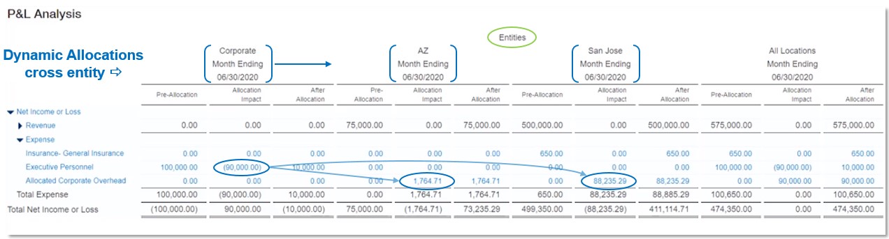 Dynamic Allocations - PL Report